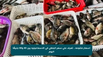 أسعار متنوعة.. تعرف على سعر البلطى في الإسماعيلية بين 40 و80 جنيهًا اليوم